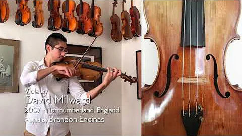 David Milward 17 3/16" viola, 2007 / Brandon Encin...