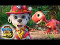 PAW PATROL: DER DINO FILM (2026) | Marshall trifft Rhabarber zum ersten Mal | Ab 6.8. NUR im Kino