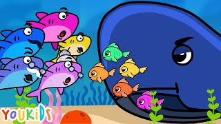 Baby Shark Song | Whale & Little Fish