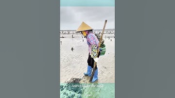 dưới cát #bixanh #shorts