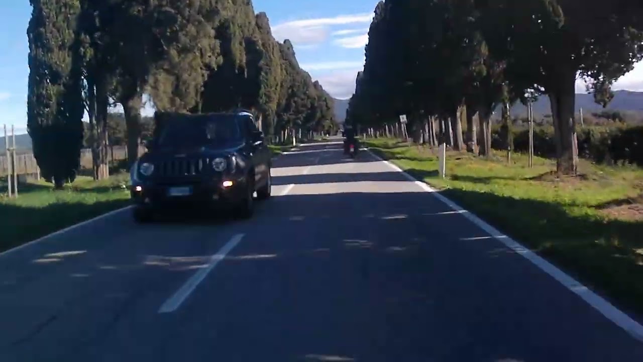 Pillole Il viale dei cipressi di Bolgheri