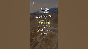 علم کامل خداوند به غیب | سوره انعام آیه 59 | تلاوت قوی قرآن