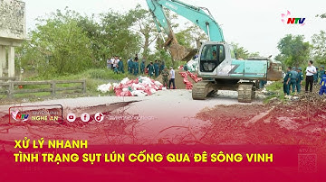 Xử lý nhanh tình trạng sụt lún cống qua đê sông Vinh