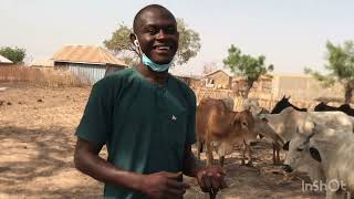 He started his livestock farming from national service salary,he now makes Gh50,000 profits yearly