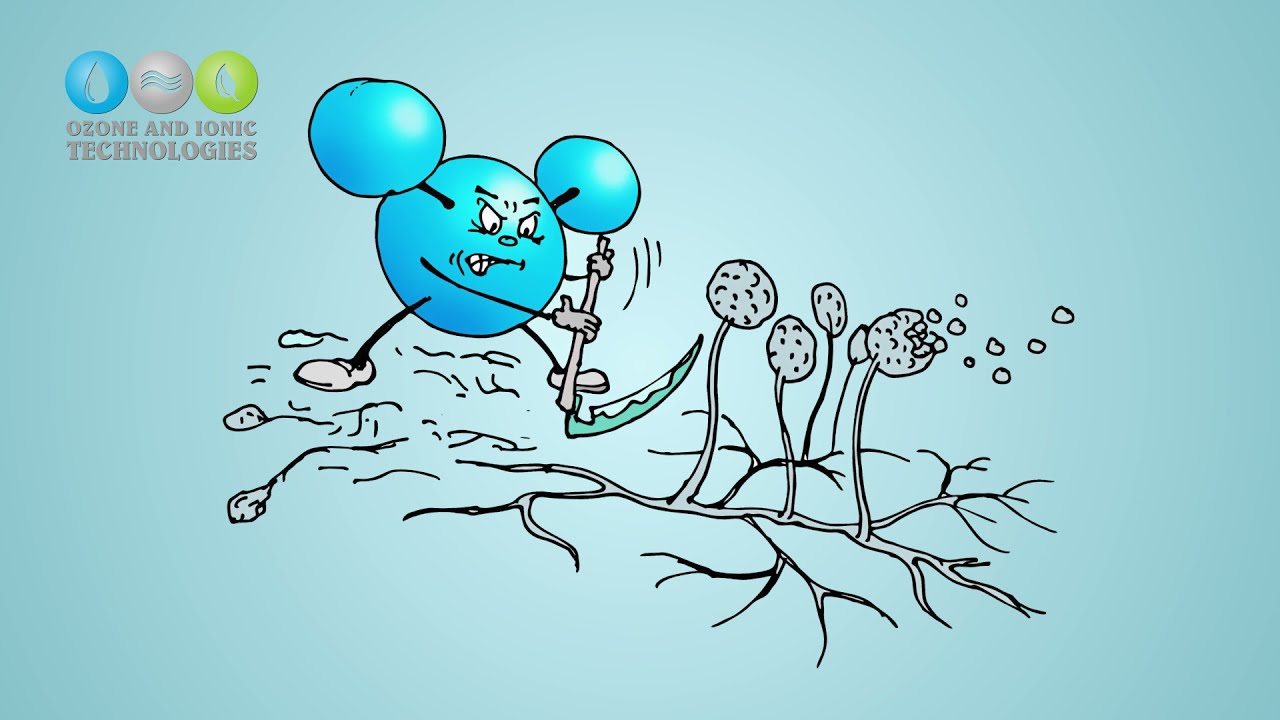 Vēlies tīru, svaigu gaisu telpās? Attīri to ar ozonatoru - Ozone Tech