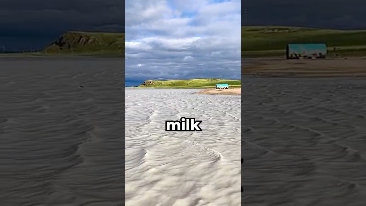 The MILK River in China 🥛