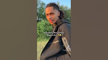How Bee’s act vs How Wasp’s act #newtiktok #funnyvideo #instareels #tiktokshorts #bees #wasps #haha