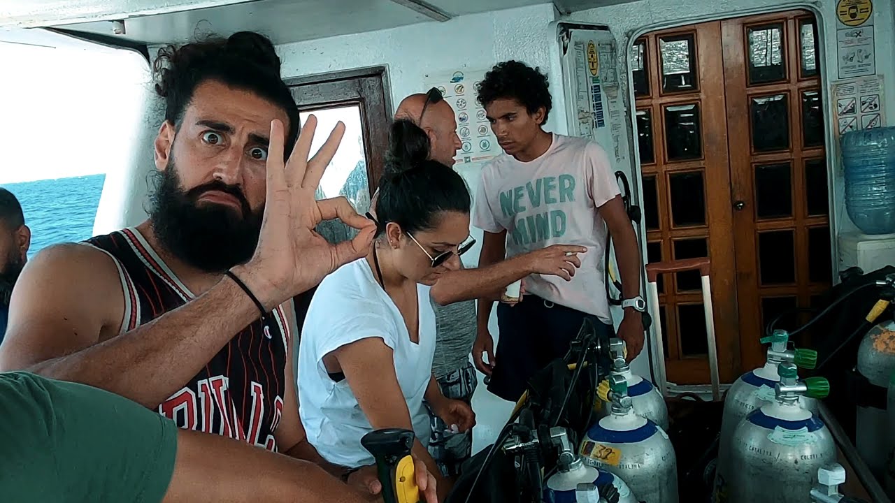 Scuba diving in the Red Sea - The Blue Hole, The Canyon, SS Thistlegorm Wreck and much more