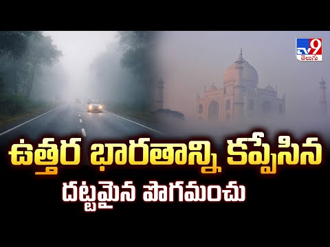 North India Shivers: ఉత్తర భారతాన్ని కప్పేసిన దట్టమైన పొగమంచు - TV9 - TV9