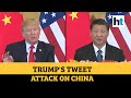 'Great damage to world': Trump slams China as US backs India amid face-off