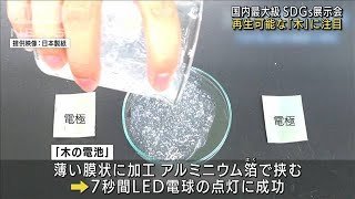 再生可能な「木」を電池に　国内最大級のSDGs展示会(2021年12月9日)