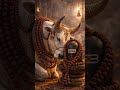 har har Mahadev 🔱🌸✨🙏🙏