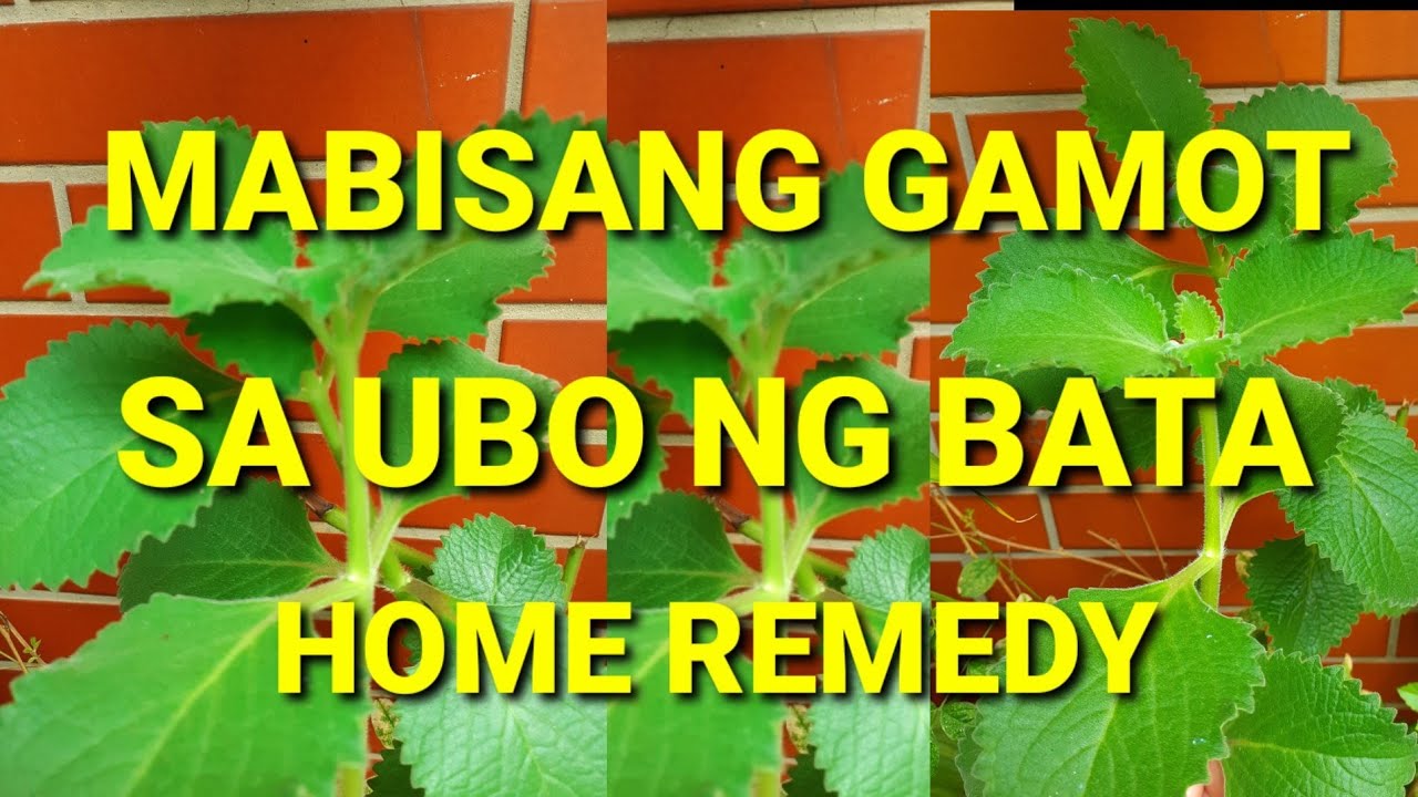 Mabisang Gamot sa Ubo ng bata Home Remedy - YouTube