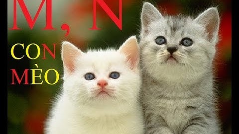 5 chữ cái chứa các chữ cái l o n năm 2022