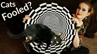 Experimenting on my Cats: Vortex Rug