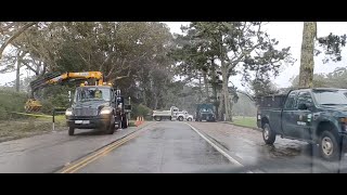 Rainy Day Adventure: Golden Gate Park Tour 🌧️ San Francisco