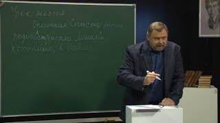 «Старая школа». Орфоэпия: согласные звуки (17.01.2019) «Старая школа». Орфоэпия: согласные звуки (17.01.2019)