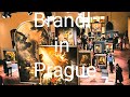 Příběh Bohéma Petr Brandl -  Valdštejnská jízdárna - Most visited  Art Exhibition - Brandl in Prague