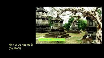 HT. Thích Thanh Từ trích_(11/23)_(K.Ví Dụ Hạt Muối) 