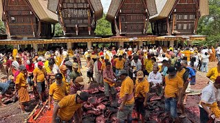 Merauk Tongkonan Ampang Bassi Leatung Sangalla 7 Januari 2026
