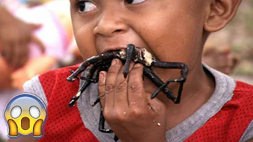 ¿Qué insectos comen cigarrillos?