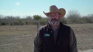 How Smart Grazing Management Pays Off for Cattle Producers