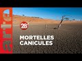 Canicules  seronsnous capables de rsister aux trs fortes chaleurs   28 minutes  arte