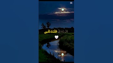 #قرآن #المنشاوي #قرآن_كريم سورة القصص