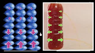 Pressure in liquids | Fluids | Physics | Khan Academy