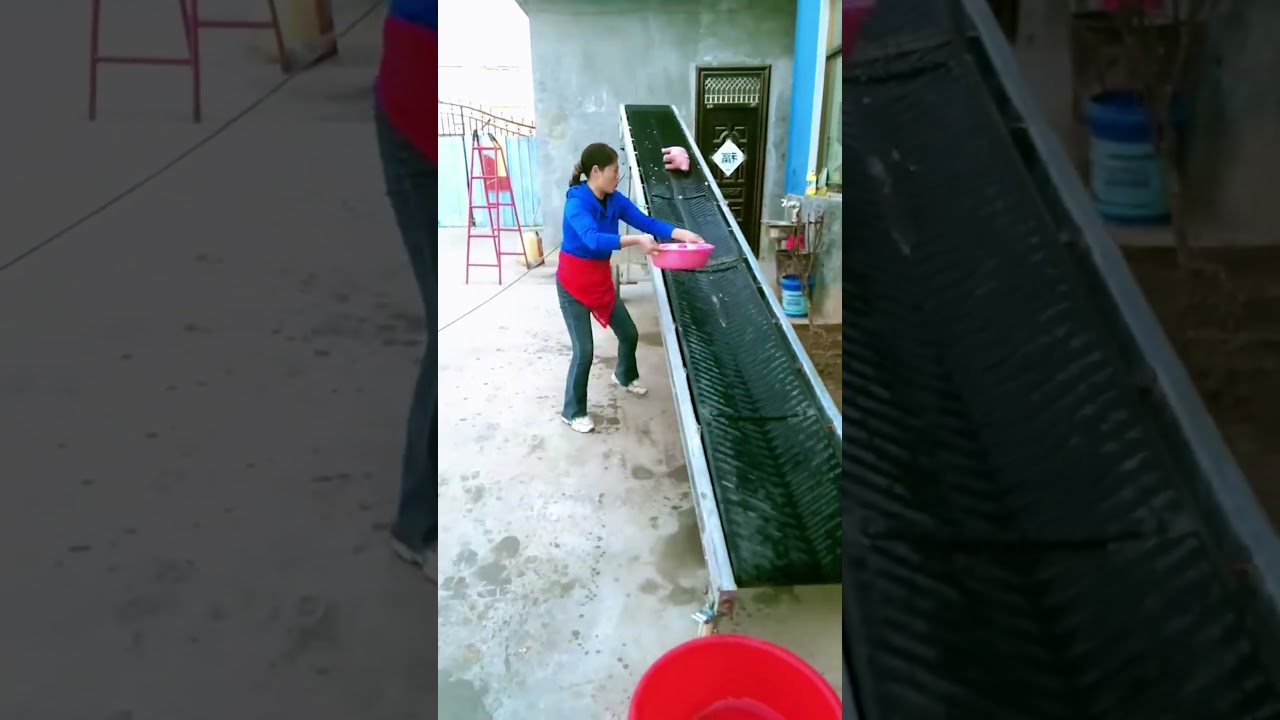 Cargo Transport Conveyor Belt Wash/Test