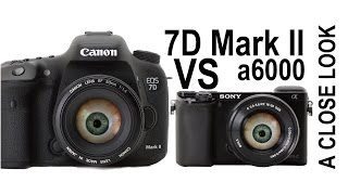 Canon 7D Mark II vs Sony a6000 - Digital Camera  Output Comparison(Canon 7D Mark II DSLR vs Sony ILCE a6000 Mirrorless - Digital Camera Output Comparison. A quick test of the quality of output of both video and images from ..., 2015-02-03T05:48:08.000Z)