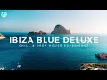Ibiza blue deluxe  chillout  deep house experience mix 2023  msol records