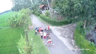 Langgam Jawa Caping Gunung, on sawahku