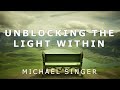 Michael singer  back to basics  unblocking the light within