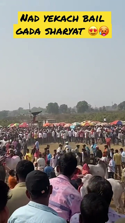 Nad yekach bail gada sharyat | usatne public🥵 | #bailgadasharyat #baile #sharyat