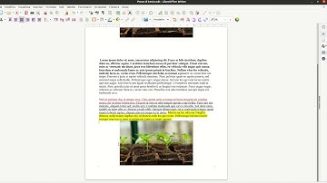 LibreOffice Writer(14): sezioni e file di testo