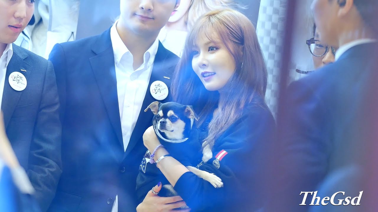 [4k Fancam/직캠]151003 포미닛(4minute) 현아 팬싸인회(Fansign)@부산롯데백화점