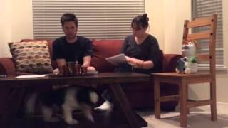 CYC 350 Investigative Interview with Child