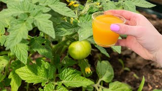 Just a Single Drop Will Boost Your Harvest
