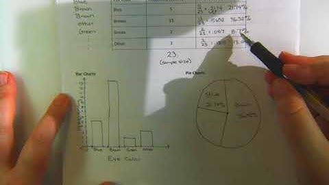 Displaying Categorical Data