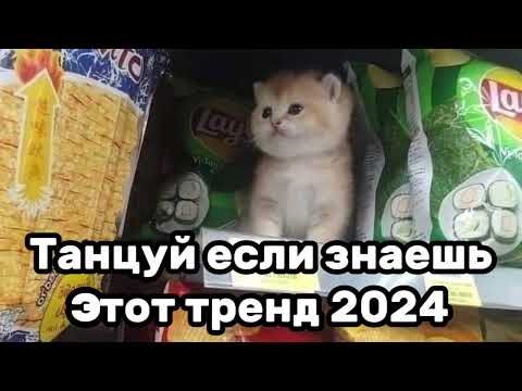 😇Танцуй если знаешь этот тренд🤩Тренды 2024года😇