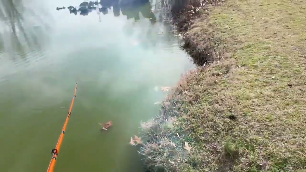Largemouth Bass Fishing