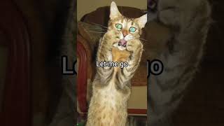 Thumb war gone wrong