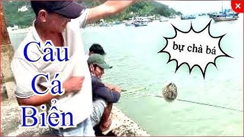 Câu Cá Biển | Câu Cá Giải Trí Cá Giò cá Dìa Trên Cảng Cá Đại Lãnh - Vân Phong - Khánh Hoà