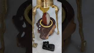 #ardhanareshwar. Narmadeshwar Shivling. नर्वदेश्वर शिवलिंग घर में पूजा करने के लिए।7489825653.#short