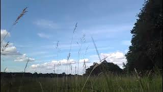 Summer clouds time lapse