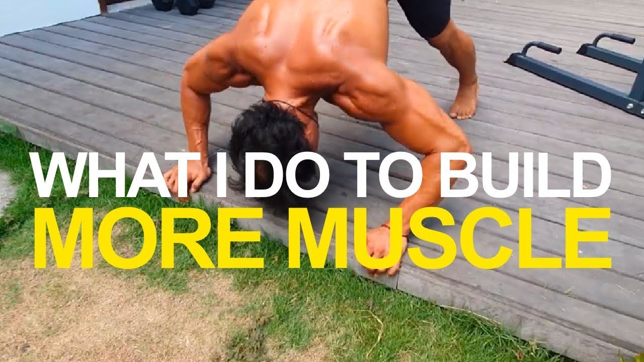 Chest - Back - Abs - Pull Up and Ab station pump up - Mike Chang - All In One