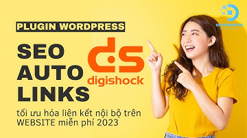 SEO Auto Links: Hướng dẫn sử dụng các plugin tối ưu hóa liên kết nội bộ trên WordPress | Daikimmkt