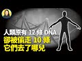 被取走了的10條DNA鏈中包含賦予人類神性的DNA