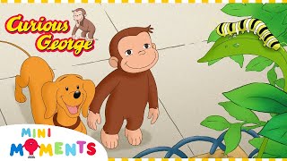 George and Hundley Make New Friends  | Curious George | 1 Hour | Mini Moments